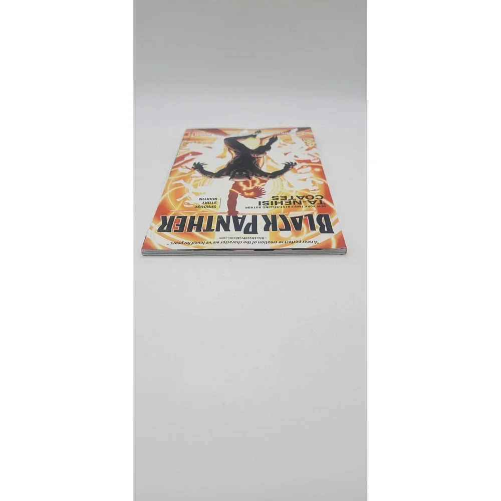 Black Panther: A Nation‎ Under Our Feet Book 2 (Marvel, 2017)